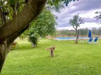 Il Girasole Terzuolo Hotels in Scansano