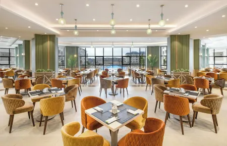 Azur One Eleven - New Alamein