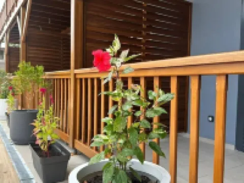 ホステル トゥーカン レジデンス フランシス アヴェック プール カイエンヌのホテル