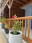 Hostel Toucan Rés Francis avec Piscine Hotels in Ремір-Монжолі