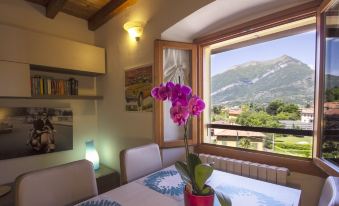 Appartamenti Villa Giulia