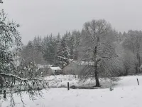 Forest-Edge Stay, Burtonville