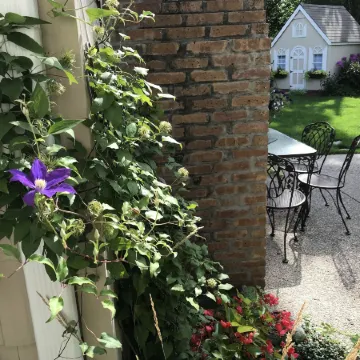 1810 Emerson House Bed & Breakfast - Adults Only