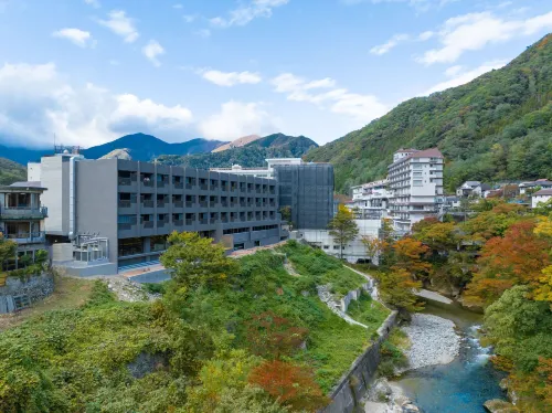 아라타시 미나카미