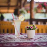 Jela Natural Resort - bar