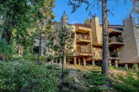 Scenic Forest Views and Cozy Balconies - Charming Woodsy Retreat