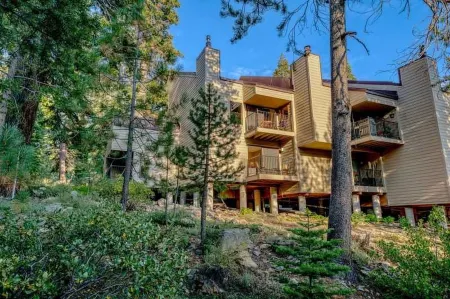 Scenic Forest Views and Cozy Balconies - Charming Woodsy Retreat