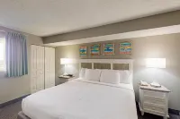 16th floor ocean view condo w/ central AC, shared pool/hot tub, balcony, WiFi Hotels near T.I.G.E.R.S. Preservation Station