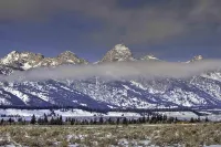 5123 Foxtail Hotels in Moose Wilson Road