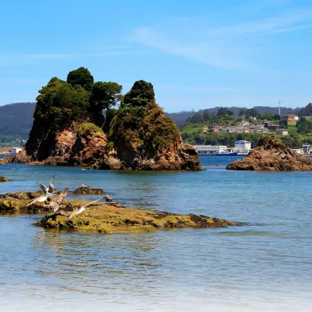 Duerming Sea View Viveiro