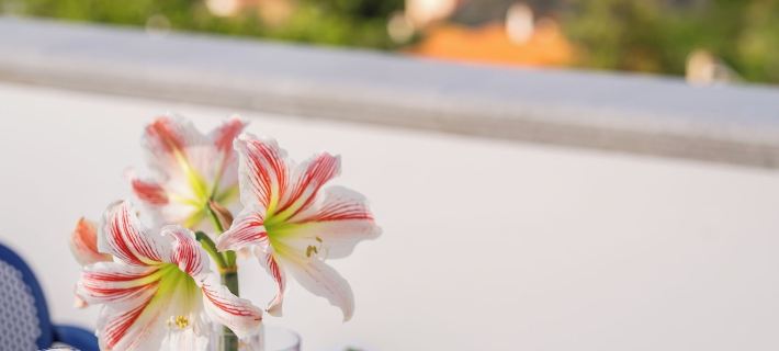 Villa Azzurra Hotéis em Vico Equense