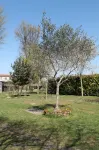 Agriturismo le Clementine