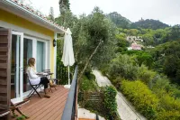 Casa do Valle Hôtels à : São Martinho