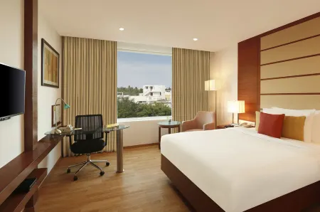 哥印拜陀檸檬樹飯店