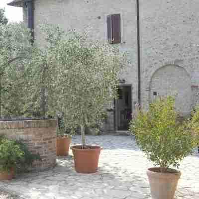 B&B Il Pettirosso di Siena Hotel Exterior
