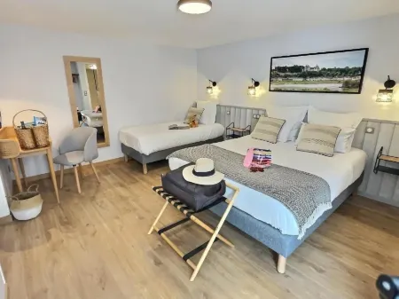 Logis Hôtel du Cygne Отели в г. Луар и Шер