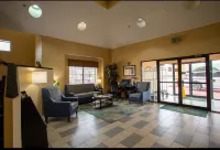 كواليتي إن باي تاون - هيوستن إيست