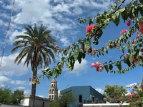 Hotel Olimpia Centro Histórico Hotels in Monclova