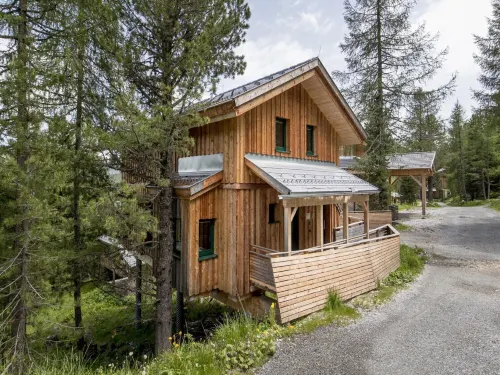 Peaceful Chalet in Turracherhöhe with Indoor Hot Tub - Alphydda