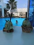 Foga Hebrus - de playa