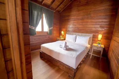 Flora Handüzü Resort & Wellness Bungalow Hotel Hôtels à : Ilicakoy Koyu