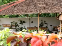 Guindulman Bay Tourist Inn Hotels in Guindulman