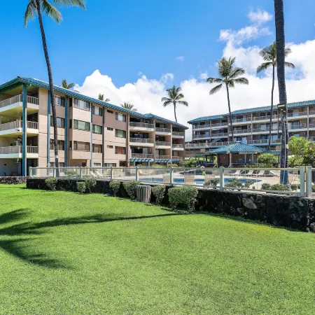Kona Reef D32