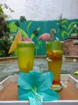 Hotel Primavera Santa Fe