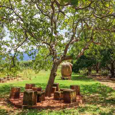 希吉瑞阿納度假飯店-提蘭卡集團 Hotel Exterior