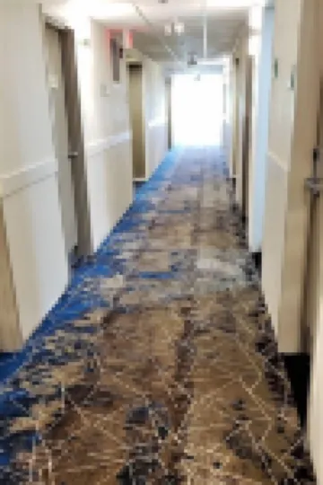 Comfort Inn Boston Milford Hotels in Milford