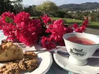 Hotel Bergblick - breakfast