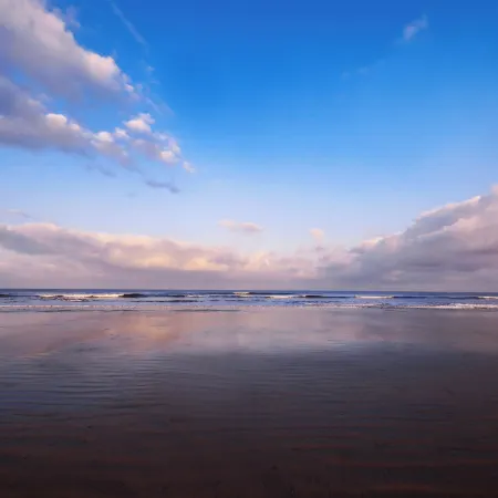 Blue Ocean The Fern Resort & Spa Ganpatipule, Series by Marriott