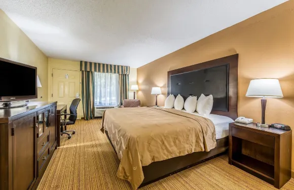 凱藝酒店-近克萊姆森大學