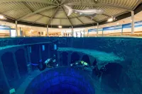 Friendly Cityhotel Oktopus - Baarit