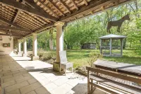 Maison d'hôtes Moulin du Bas Pesé Hotels in Cheverny