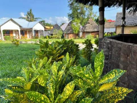 Zanzigo Hotels in Nungwi