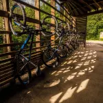 Afan Forest Retreat Trails from the Door