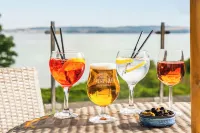 The Headland Hotel & Spa - bar
