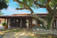 Hotel Pantanal Mato Grosso Hotels in 