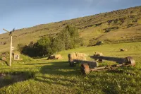 윌더니스 센터 / 오비그다세투르 아일랜드