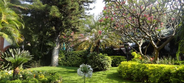 Hotel Vista Hermosa Hotels in Cuernavaca