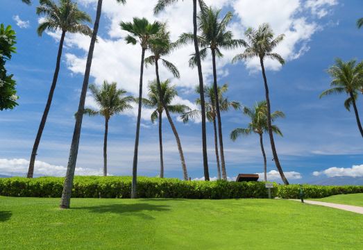 카아나팔리 비치 호텔