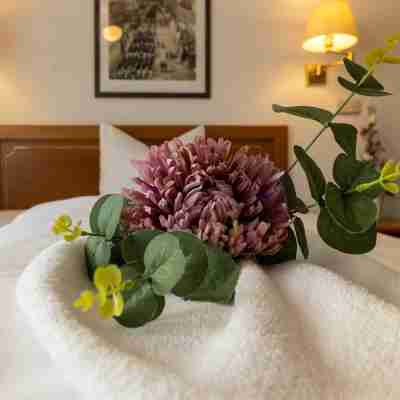 Hotel Alekto Rooms