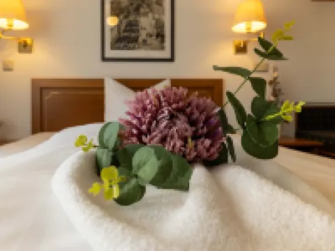 ホテル アレクト フライブルクのホテル