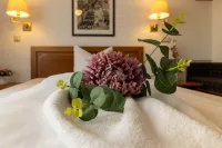 Hotel Alekto فنادق في Neuklingenberg