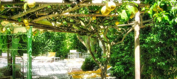 Villa Ciccio Ischia otelleri