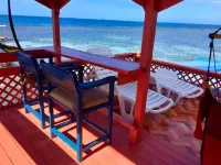Bird Island Placencia Hotels in Placencia