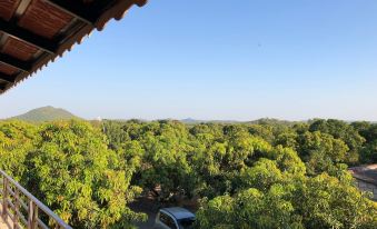 Gir Lions Paw Resort with Swimming Pool