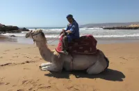 Riad Dar Haven - Beach