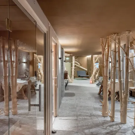Apart Hotel Garni Wieser